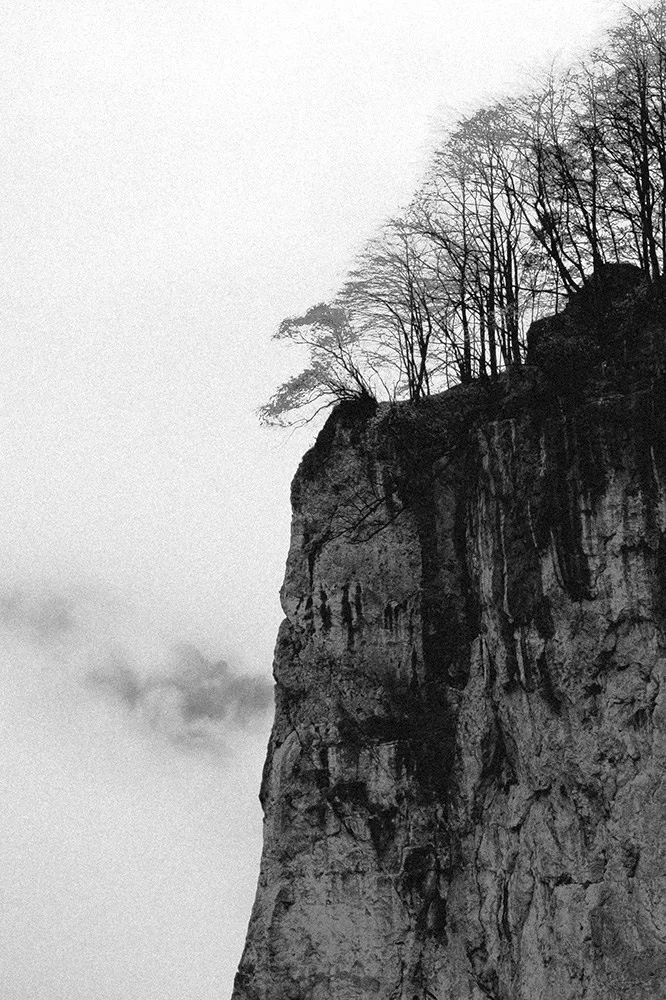 Signature · 15